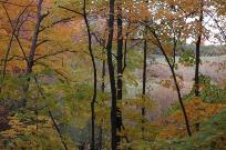 Jan Geisen photography Autumn Minnesota Landscape Arboretum landscape photograph