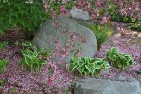 Jan Geisen photography - photograph of Como Park Japanese Garden in St Paul Minnesota
