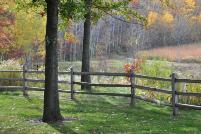 Jan Geisen photography - Lebanon Hills Park Dakota County Minnesota